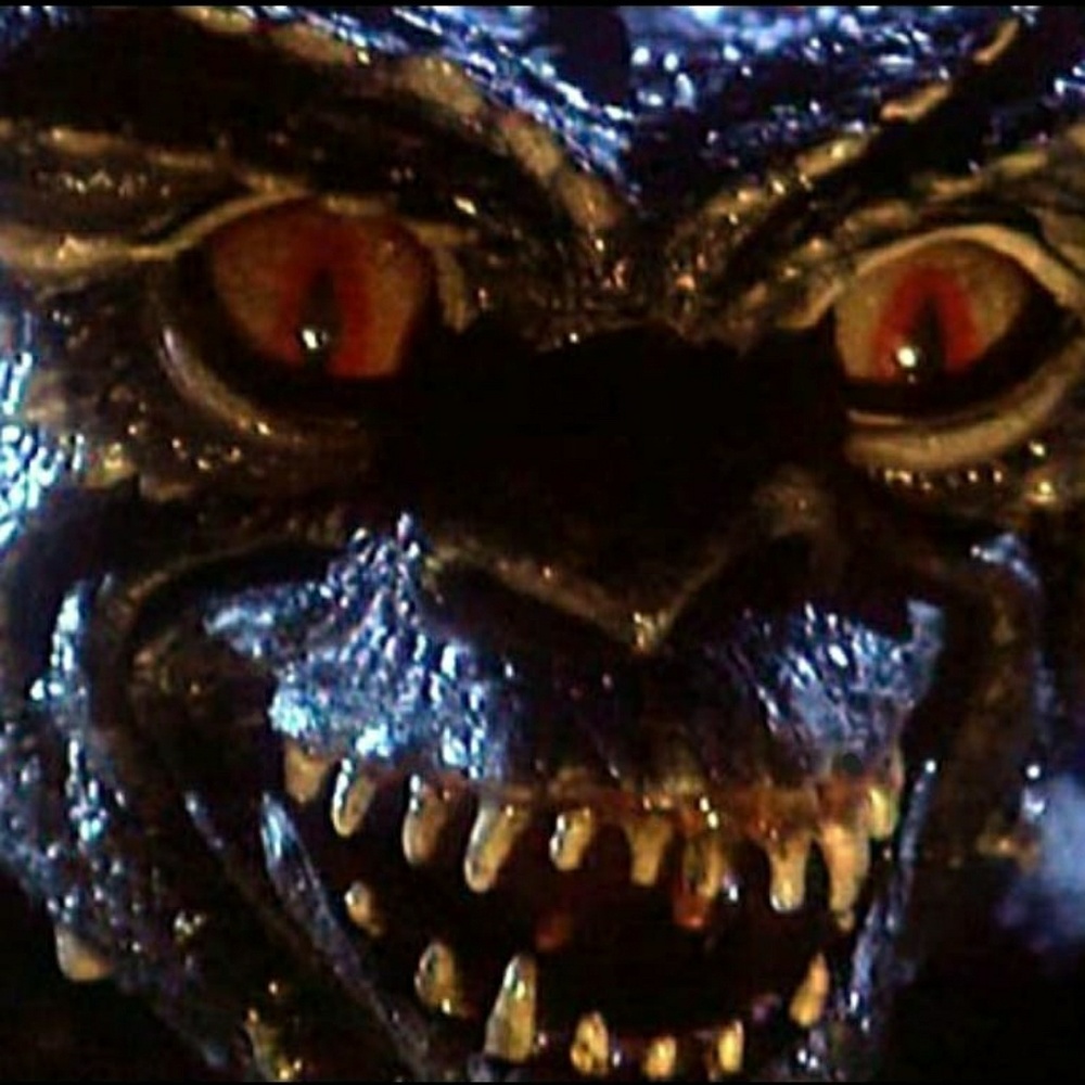 Meet your Posher, Kaite